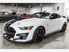 Thumbnail Photo 0 for 2020 Ford Mustang Shelby GT500 Coupe